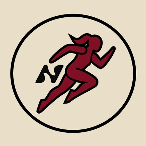 Ícone: corrida